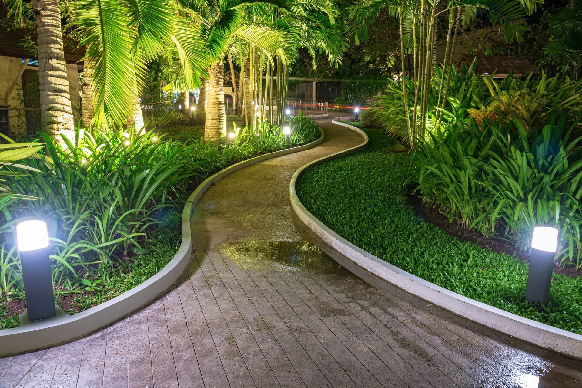 Illuminated curved garden path with lush plantings installed at night