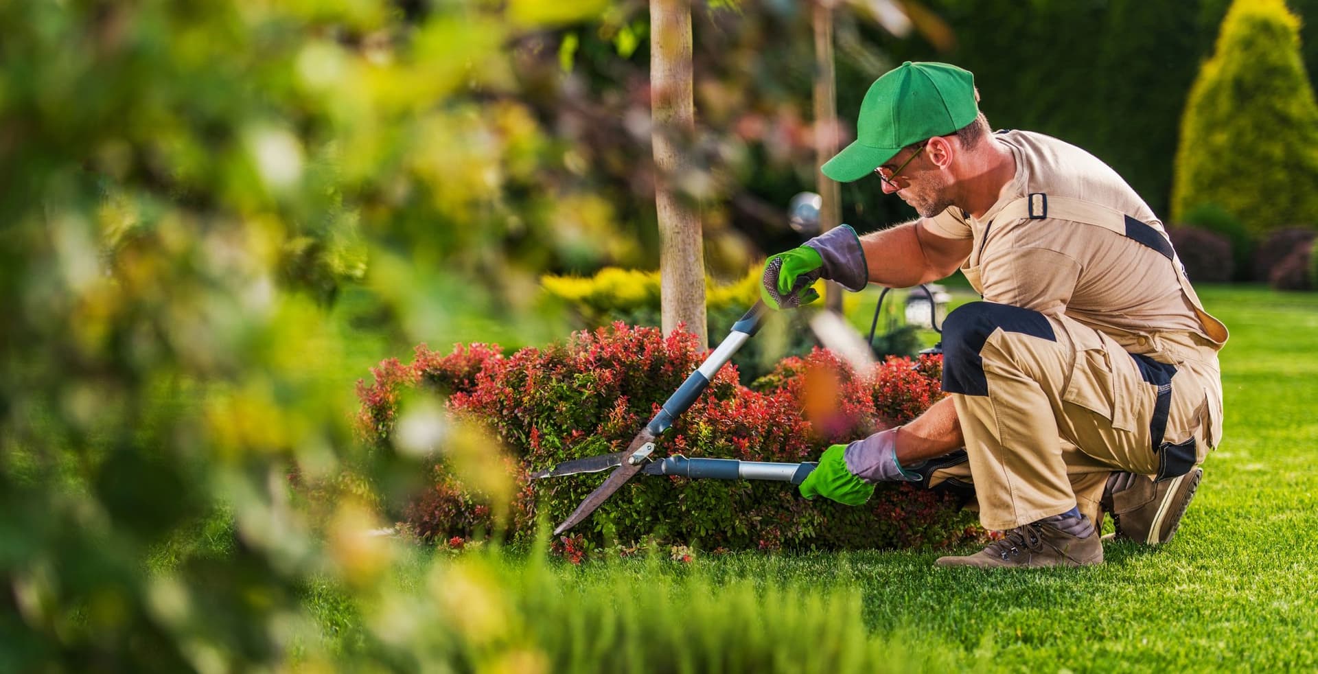 A & D Landscaping professional shaping shrubs in a manicured garden
