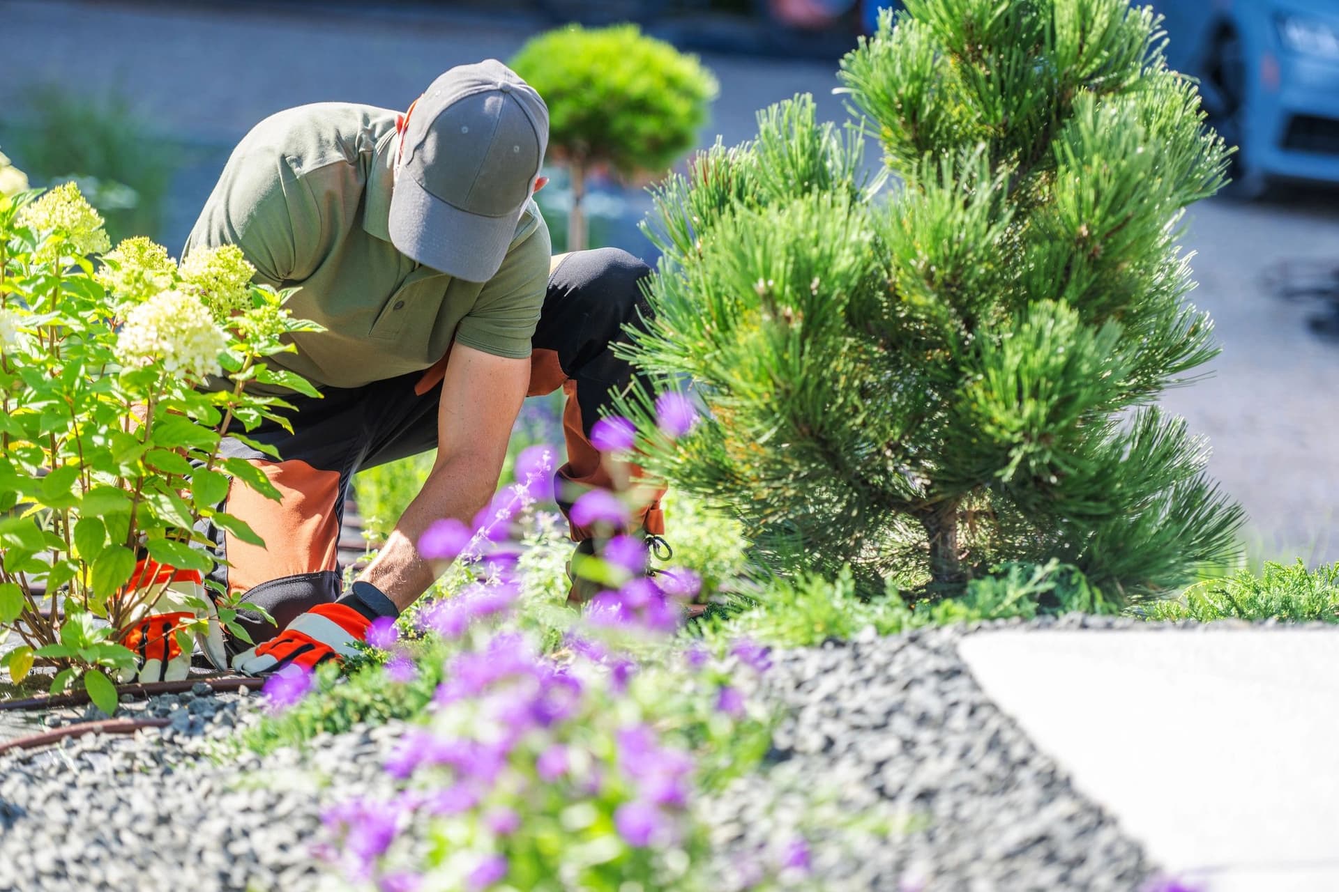 A & D Landscaping team member planting a designed garden bed